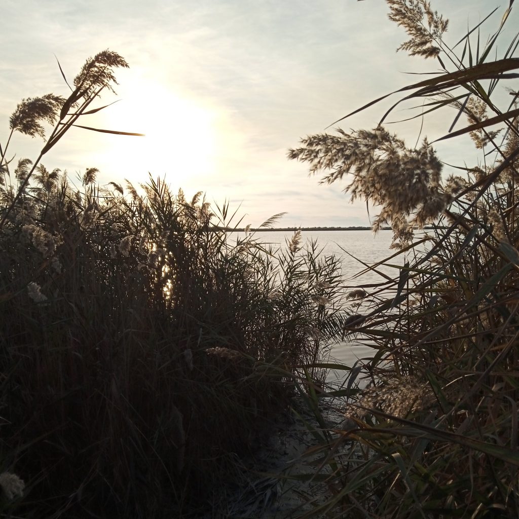 photo d'un étang camarguais au soleil couchant